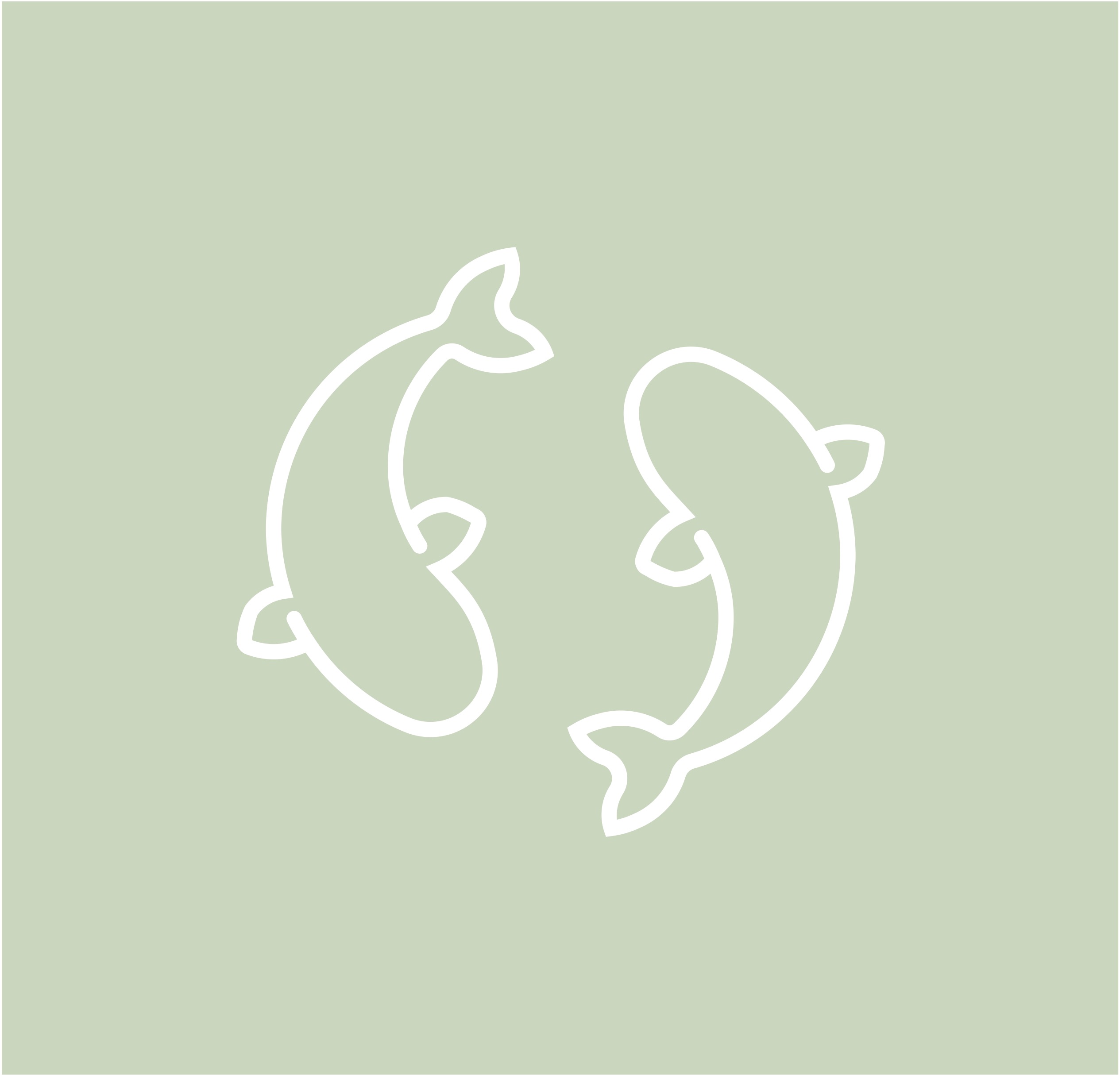 Koi Fish